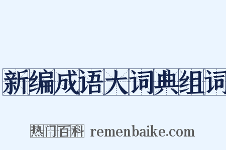 新编成语大词典组词是什么意思的图片